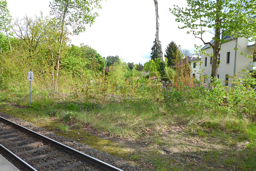 Ruhlsdorfer Wandlitz_06
